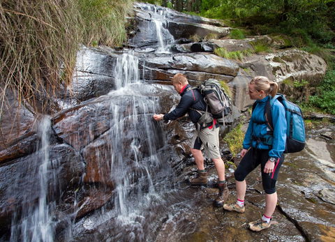 Grand Strzelecki Track - Attractions Brisbane 2