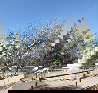 Gregory's Tree Timber Creek - Attractions Brisbane