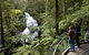Great Otway National Park - thumb 0