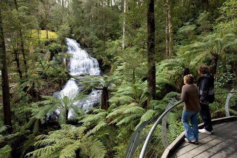 Great Otway National Park - Attractions Brisbane 0