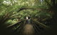 Great Otway National Park - thumb 2