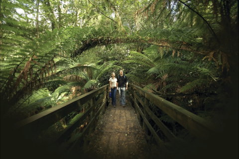 Great Otway National Park - Attractions Brisbane 2