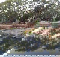 Green Corridor Walking Track - Attractions Brisbane