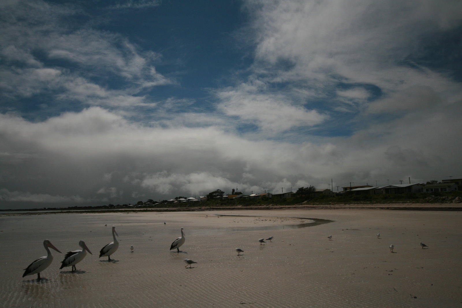 Yorke Peninsula SA Attractions Brisbane