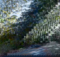 Hastings Forest Way Touring Route - Attractions Brisbane