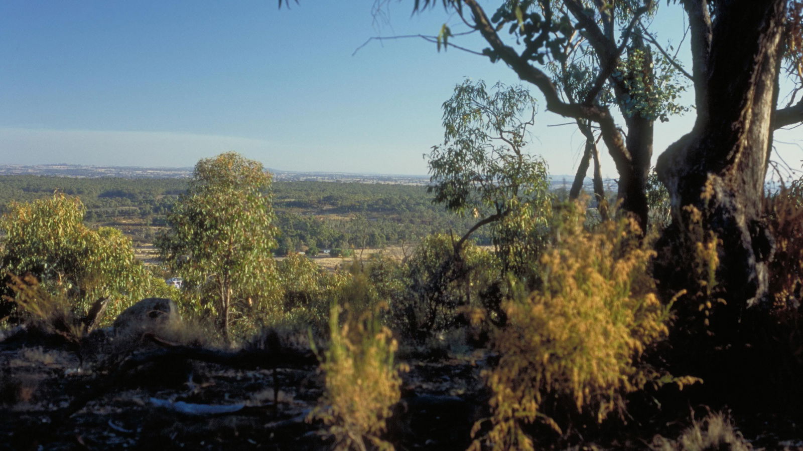 Litchfield VIC Attractions Brisbane