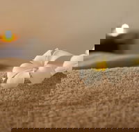 Heavenly Hunter Massage - Attractions Brisbane