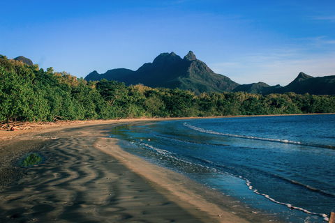 Hinchinbrook Island - Attractions Brisbane 2