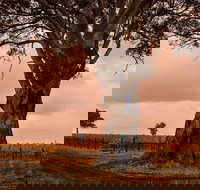 Hynam - Attractions Brisbane