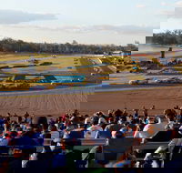 Ipswich Motorsport Precinct - Attractions Brisbane