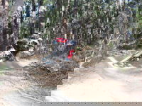 Jolly Nose Mountain Bike Park