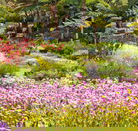 Jurassic Garden AR Experience - Attractions Brisbane
