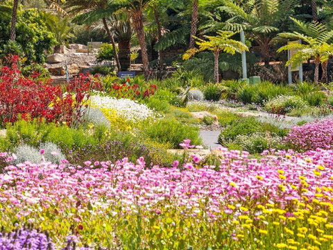 Jurassic Garden AR Experience - Attractions Brisbane 0