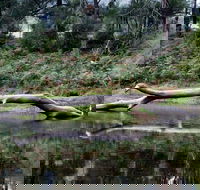 Kayaking Upper Tuross River and Bumbo Lake - Attractions Brisbane