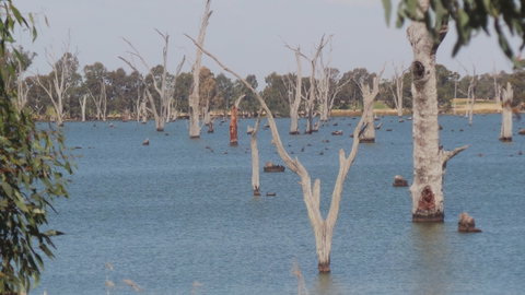 Lake Mulwala - Attractions Brisbane 2