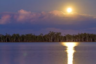 Lake Broadwater Conservation Park