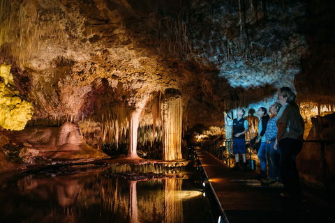 Lake Cave - Attractions Brisbane 0
