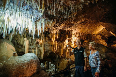 Lake Cave - Attractions Brisbane 1