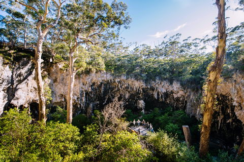 Lake Cave - Attractions Brisbane 2