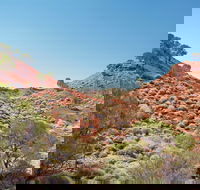 Lark Quarry Conservation Park - Attractions Brisbane