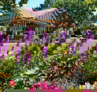Laurel Bank Park - Attractions Brisbane