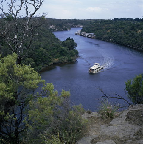 Lower Glenelg National Park - Attractions Brisbane 0