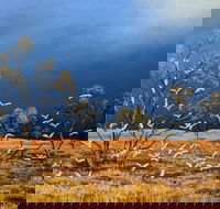 Lyn Barnes Gallery - Attractions Brisbane