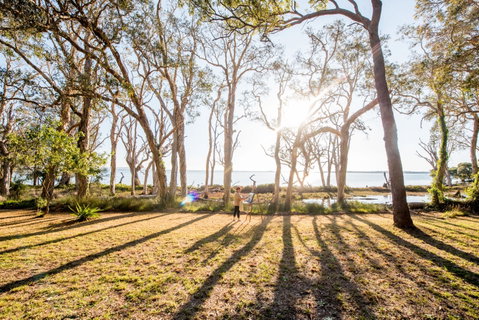 Macleay Island (Jencoomercha) - Attractions Brisbane 1