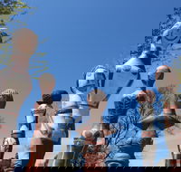 Mansfield Arts Walk - Attractions Brisbane