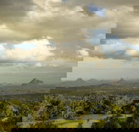 Mary Cairncross Scenic Reserve Rainforest Walk - Attractions Brisbane