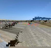 Marburg Pacing Association - Attractions Brisbane