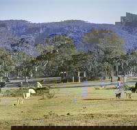 Megalong Valley - Attractions Brisbane