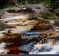 Mothar Mountain Rockpools - Attractions Brisbane
