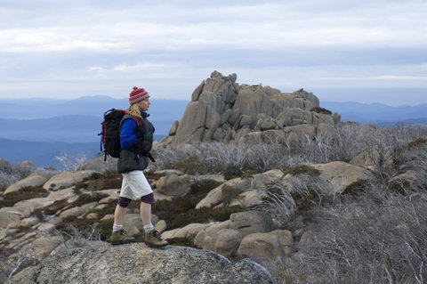 Mount Buffalo National Park - Attractions Brisbane 0