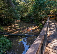 Ms Kellys Walking Track - Attractions Brisbane