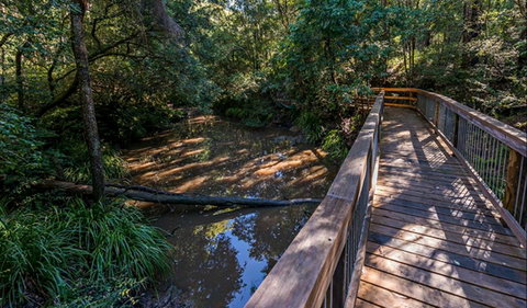 Ms Kellys Walking Track - Attractions Brisbane 0