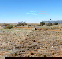 Mungo Self-guided Drive Tour - Attractions Brisbane