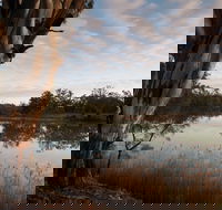Murray-Kulkyne Regional Park - Attractions Brisbane