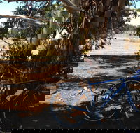 Murchison Rail Trail - Attractions Brisbane