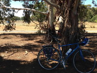 Murchison Rail Trail
