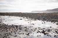 Mushroom Reef Beach