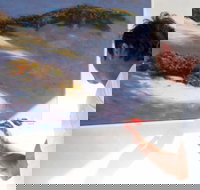 Neale Joseph Fine Art Gallery - Attractions Brisbane