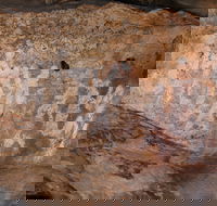 Ngamadjidj Shelter - Wartook Valley - Attractions Brisbane