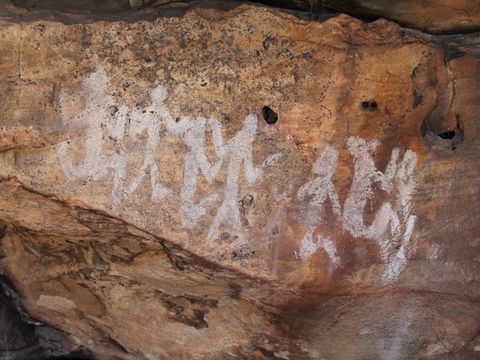 Ngamadjidj Shelter - Wartook Valley - Attractions Brisbane 0