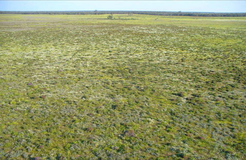 Nilla Yannagalang Billana - Attractions Brisbane 0