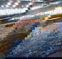Oasis Regional Aquatic Centre - Attractions Brisbane