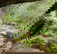 Old Great North Road Bike Ride - Attractions Brisbane