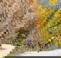 Old Great North Road - World Heritage Walk - Attractions Brisbane