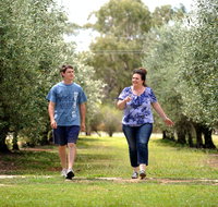 Olives of Beaulieu - Attractions Brisbane