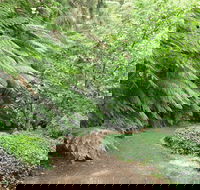Pirianda Gardens - Attractions Brisbane